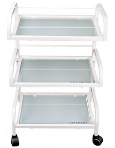 kosmetologinis vežimėlis su... 2