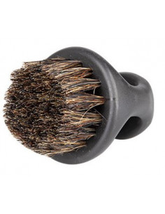 barzdos šepetėlis su šerno... 2