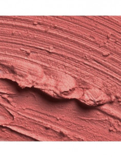 profesionalūs matiniai lūpų... 2