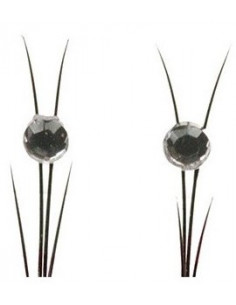 dekoratyvinės blakstienos... 2