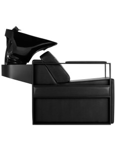 galvos plautuvė juoda... 2