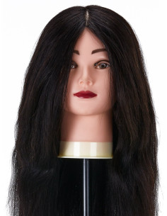 manekeno galva šukuosenoms,... 2