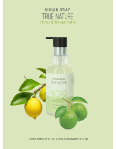 rankų muilas Vivian Gray... 2