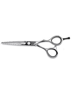 kirpimo ir filiravimo... 2