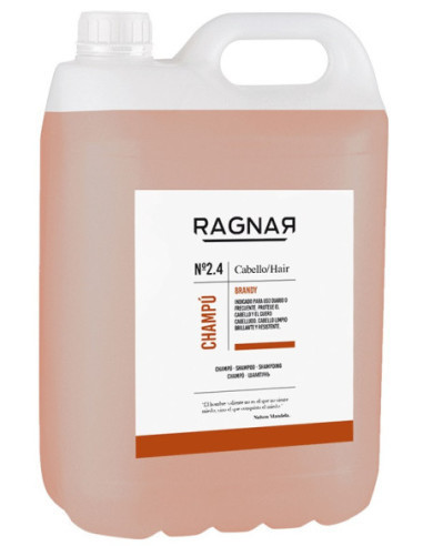 šampūnas kasdienai Ragnar Brandy 5L