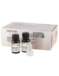 energizuojanti procedūra -...